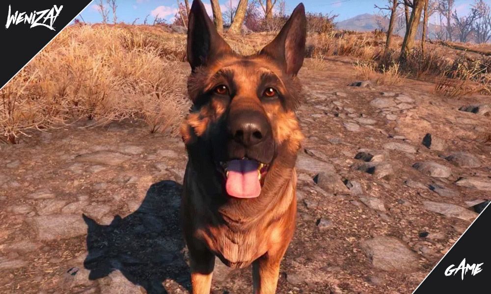 Животные-компаньоны могут попасть в Fallout 76, ПК игры (новости)