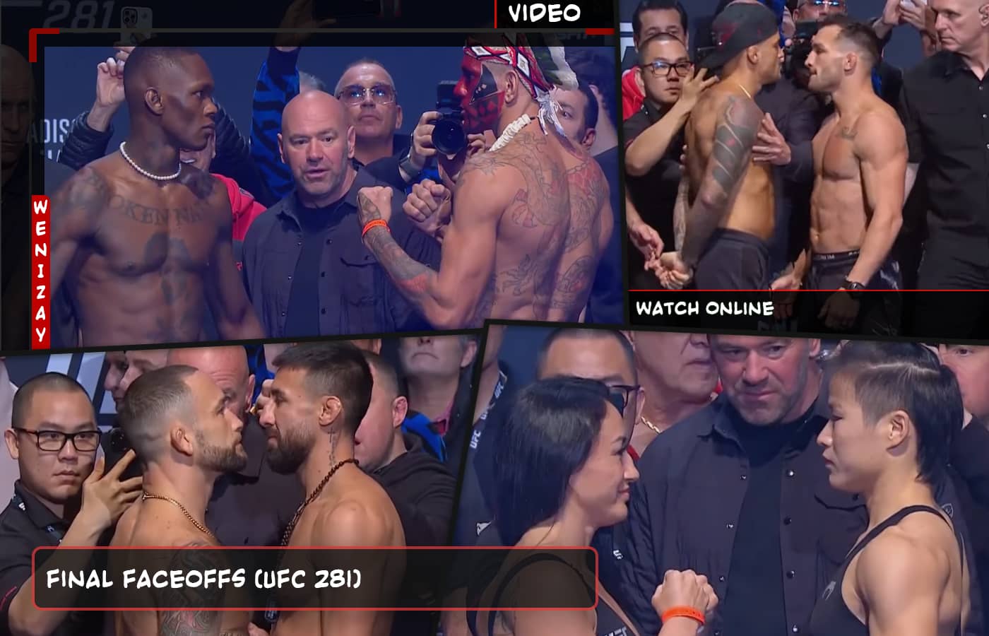 UFC 281, UFC, UFC video